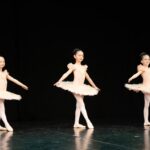 Concursulul National de Dans Dansylvania