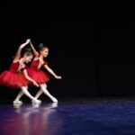 Asociatia Culturala Dansylvania 2024 Concurs National de dans