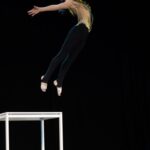 Asociatia Culturala Dansylvania 2024 Concurs National de dans